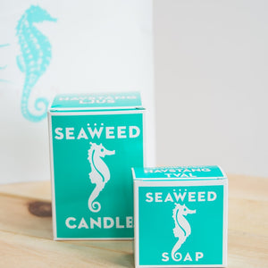 Seaweed Travel or Soap Saver